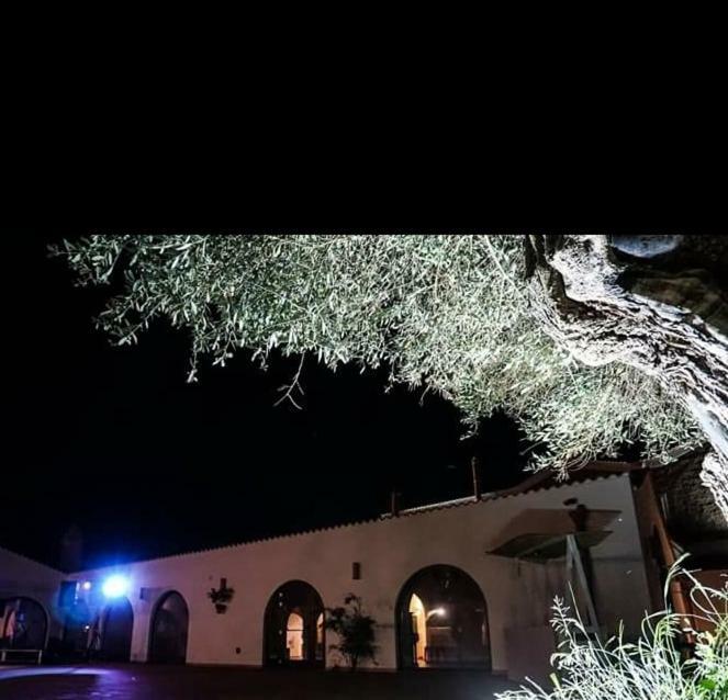 Masseria Colle Carro Ba07200451000019667 Altamura Bagian luar foto