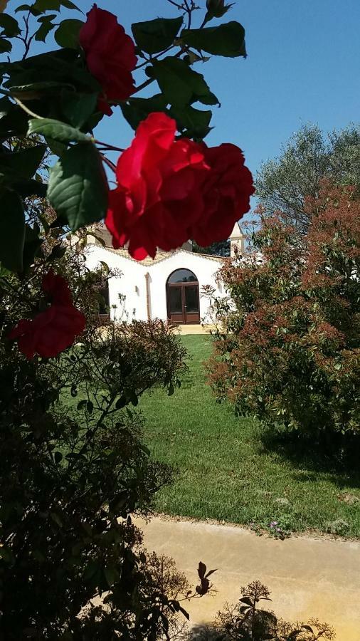 Masseria Colle Carro Ba07200451000019667 Altamura Bagian luar foto